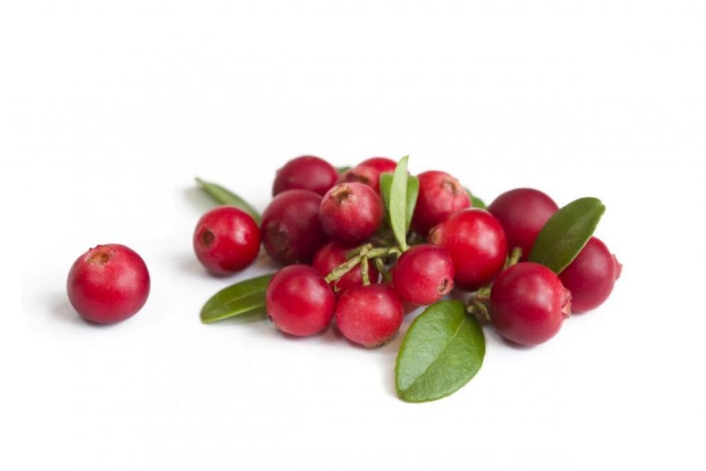 Cranberry - Prostaline Ingredients